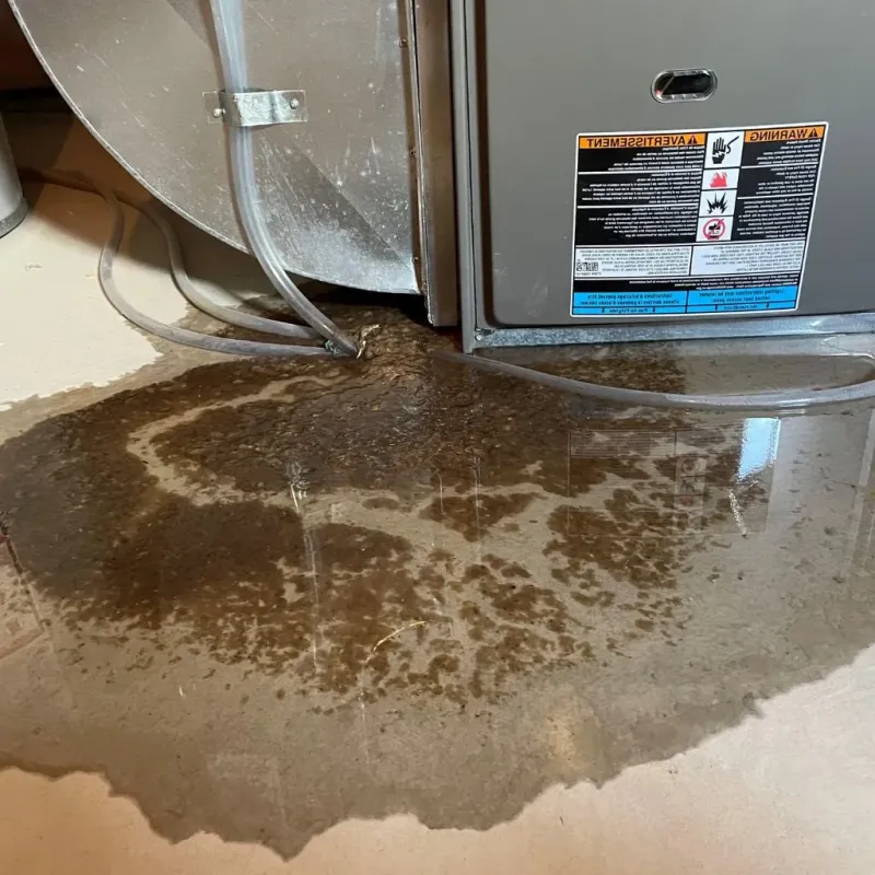 Pipe Burst and Leak Restoration in Chouteau, OK